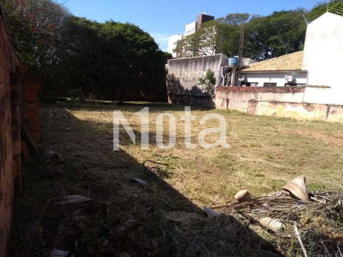 TERRENO  - ZONA 1