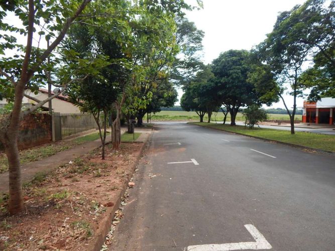 TERRENO -  ZONA 6