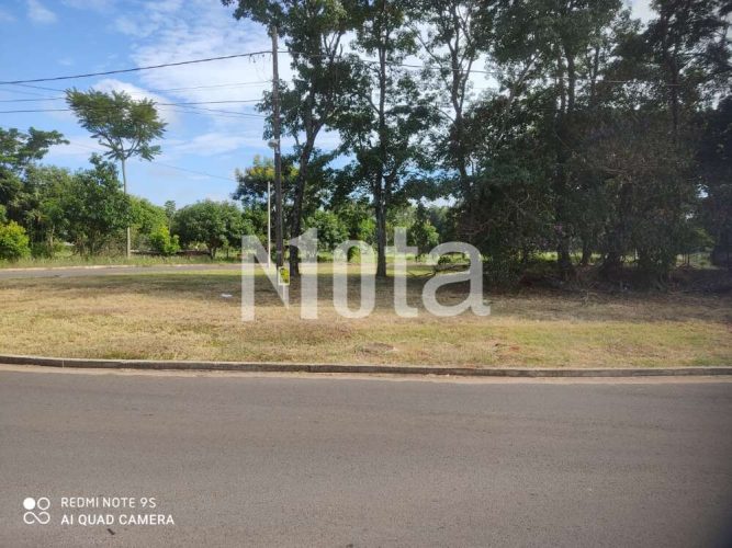 TERRENO -  ZONA 6 