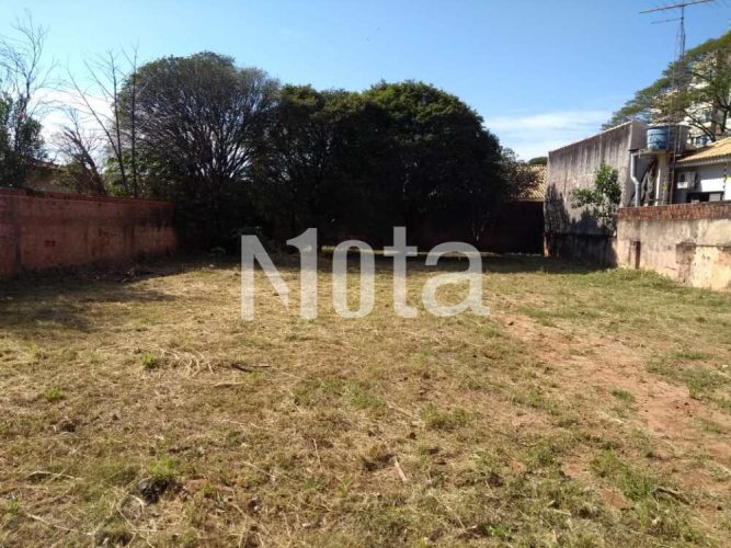 TERRENO  - ZONA 1