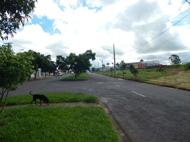 TERRENO - CIANORTINHO 