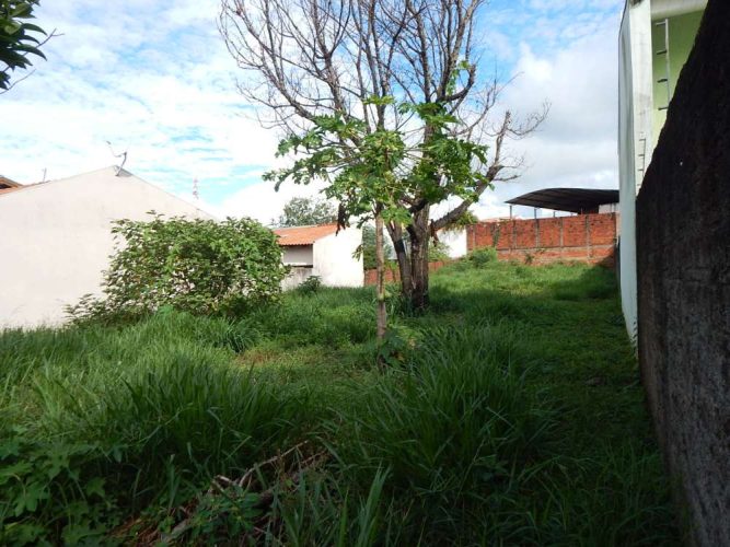 TERRENO  - ZONA 6