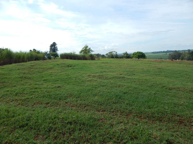 CHÁCARA - RODOVIA 