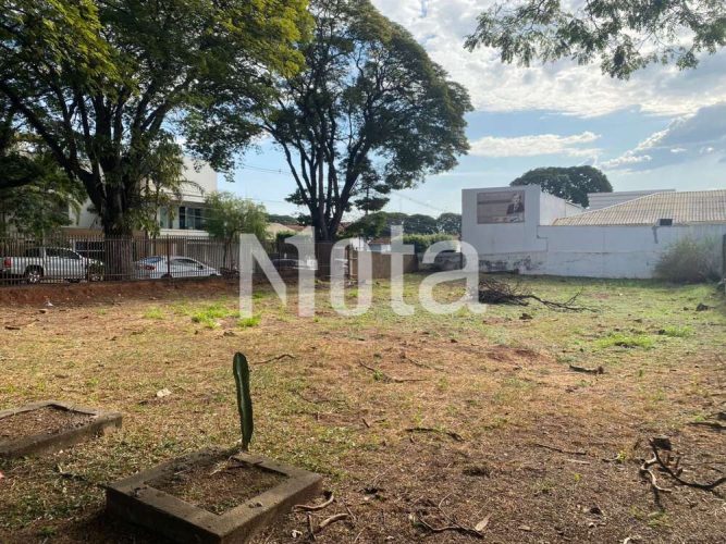 TERRENO - ZONA 1 