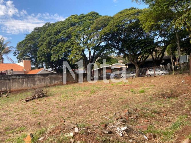 TERRENO - ZONA 1 